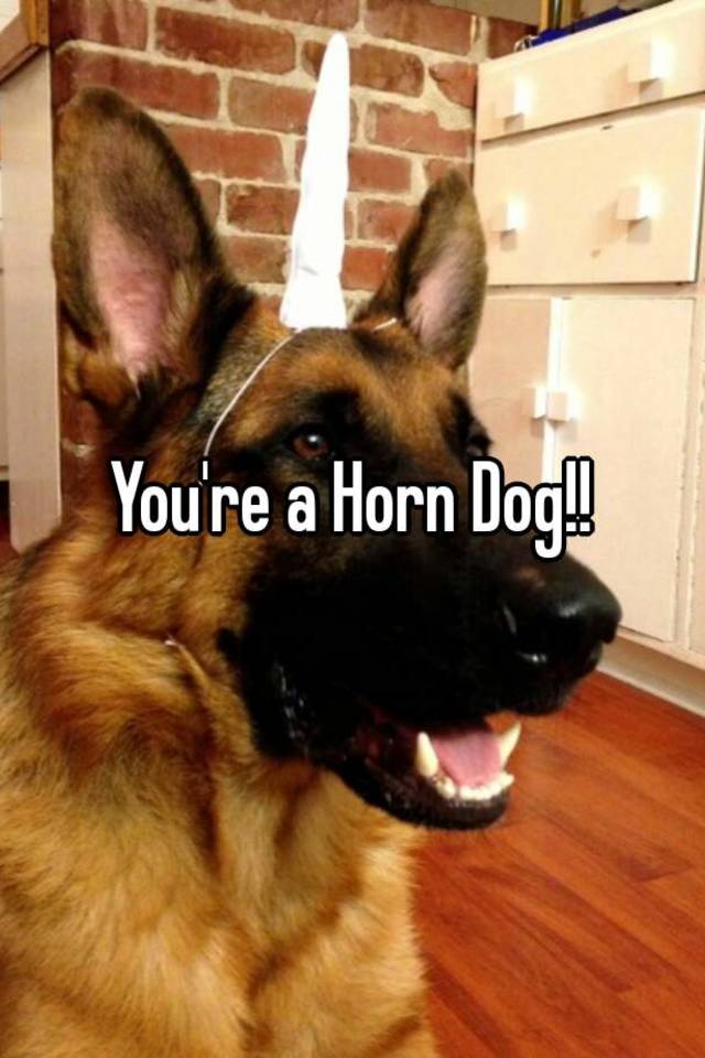 What is a horndog