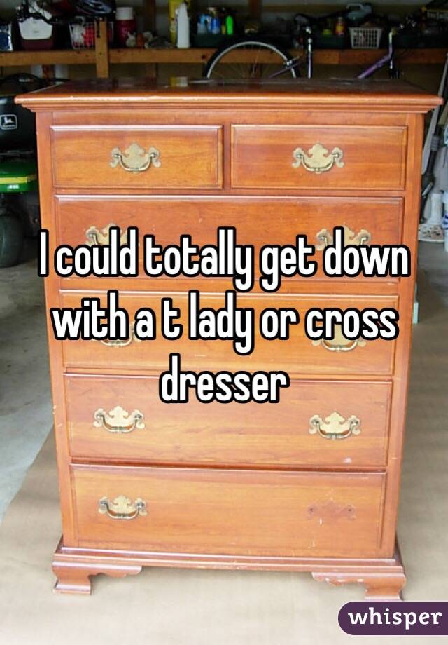 I could totally get down with a t lady or cross dresser 