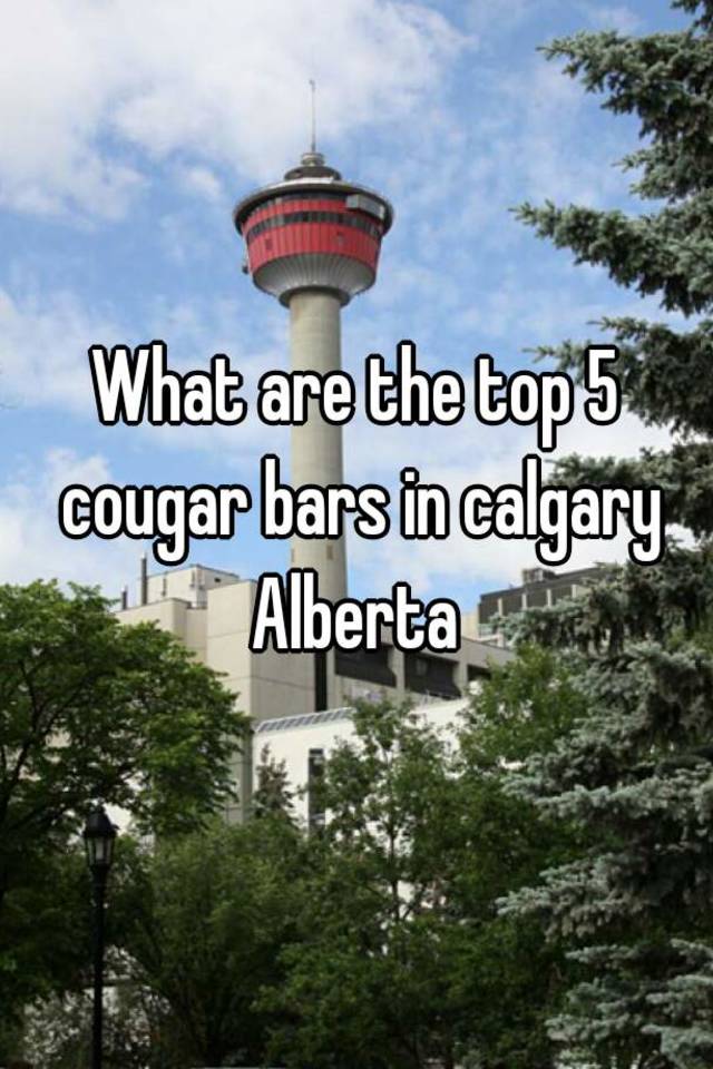 What are the top 5 cougar bars in calgary Alberta