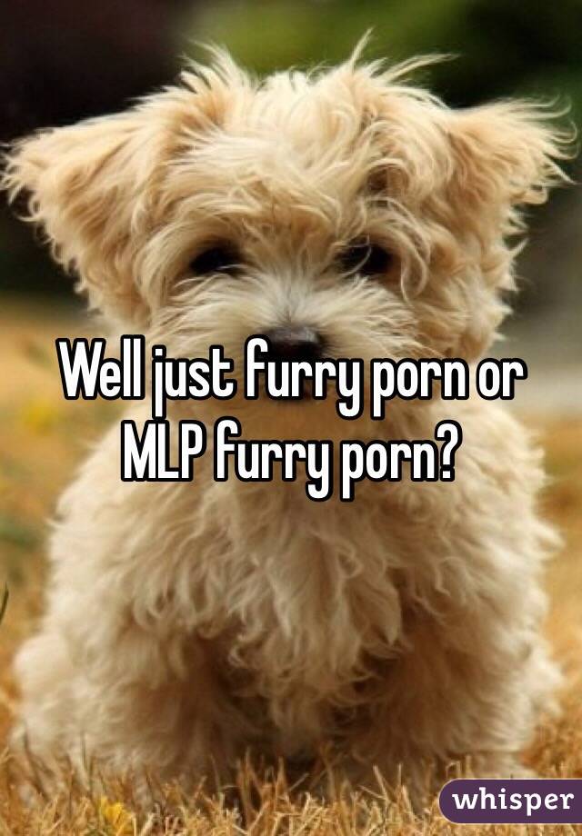 Well just furry porn or MLP furry porn?