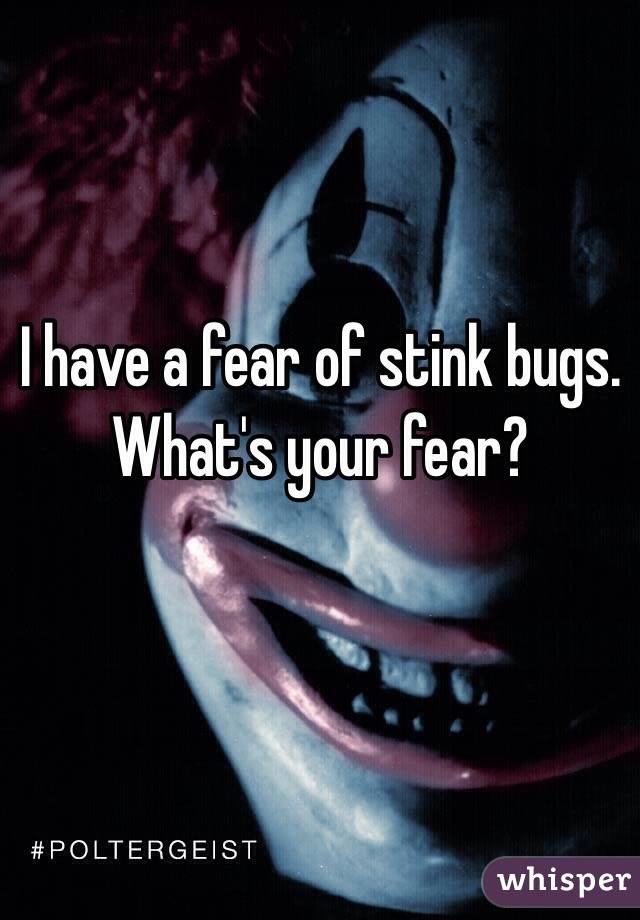 I have a fear of stink bugs.
What's your fear?