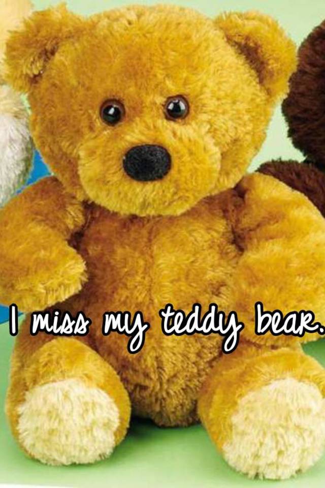 my teddy bear