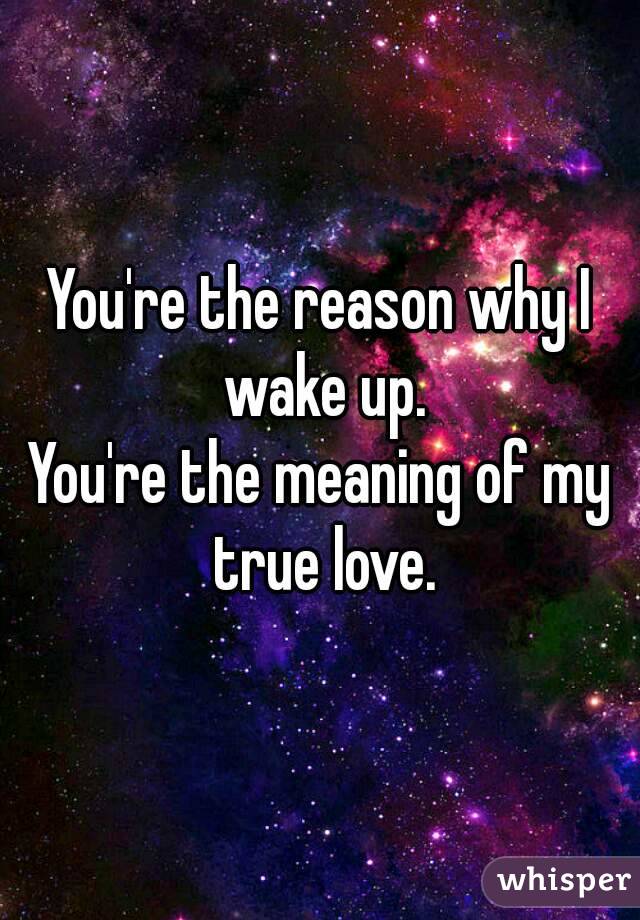 you-re-the-reason-why-i-wake-up-you-re-the-meaning-of-my-true-love