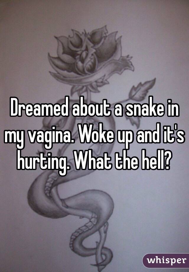 Vagina snake in my 8 Objects
