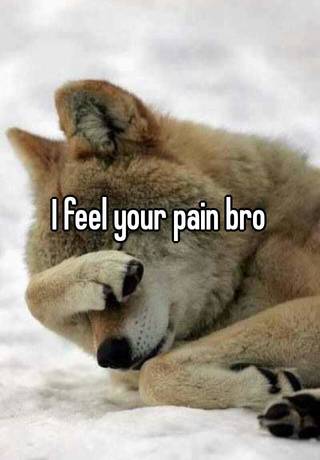 I Feel Your Pain Bro