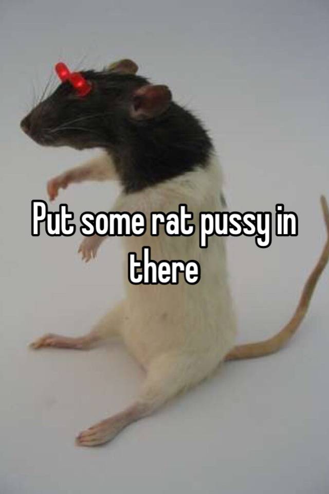 Rat in pussy