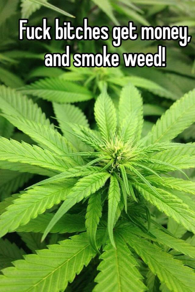 Xxx Shemale Smoking Weed - Teen Smoking Weed Gets Fucked - Free XXX Photos, Hot Sex ...