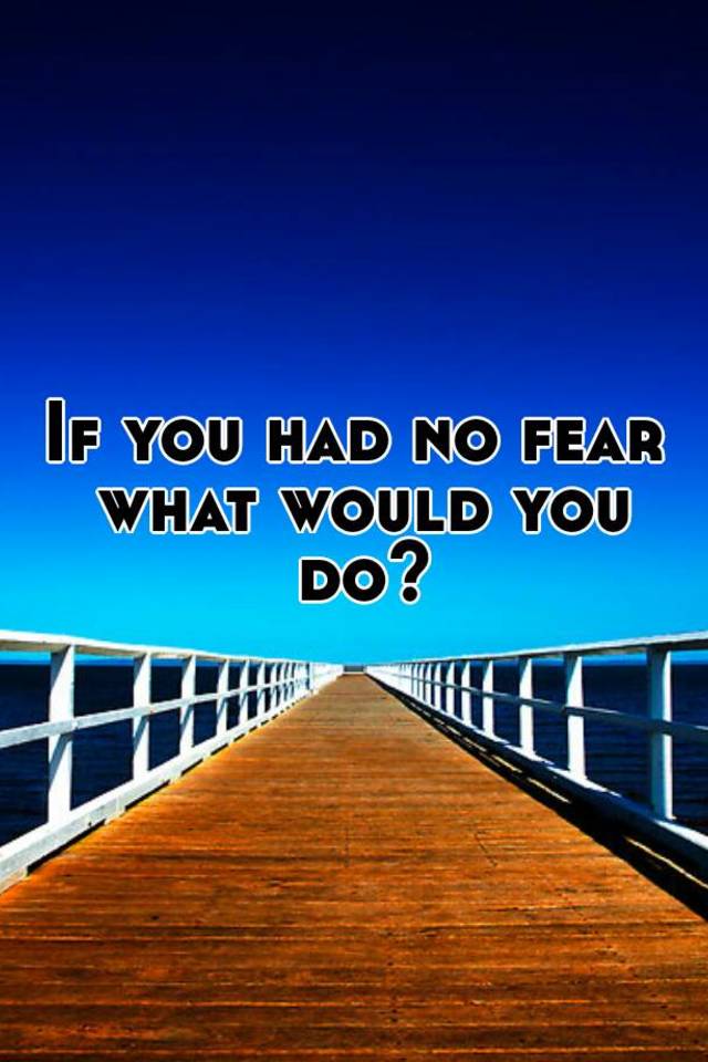 if-you-had-no-fear-what-would-you-do