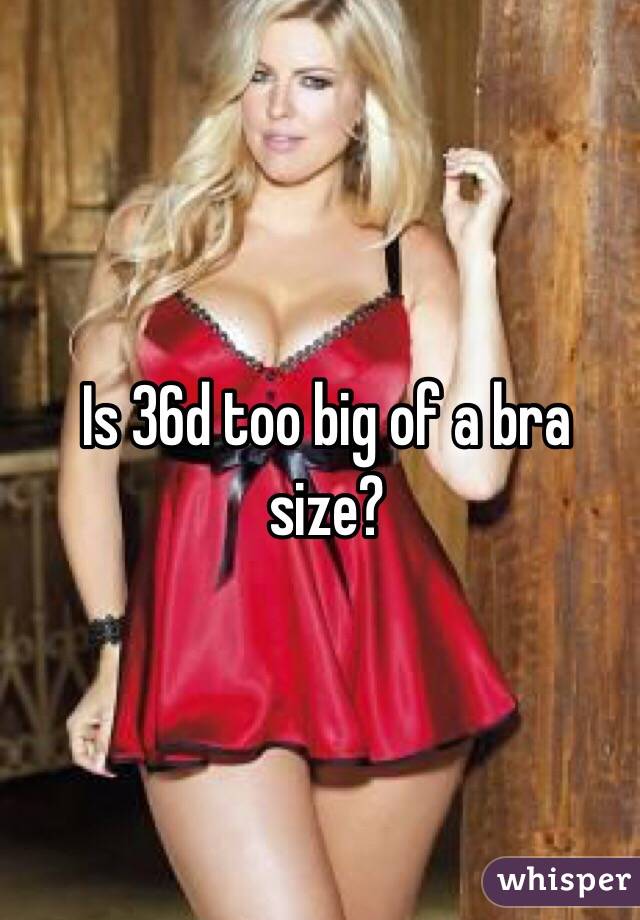 is-36d-too-big-of-a-bra-size