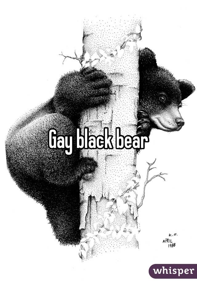gay porn black bear chub raw