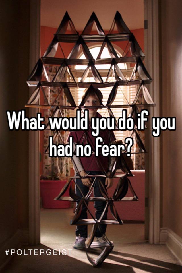 what-would-you-do-if-you-had-no-fear