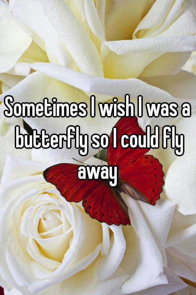 i wish i was a butterfly
