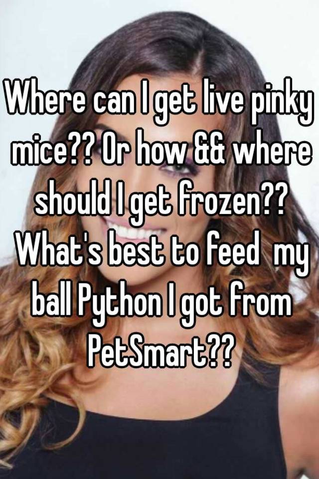 petsmart pinky mice