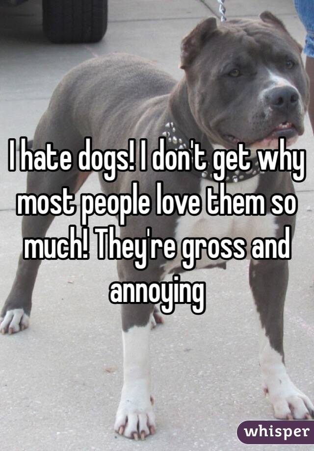 hate dogs! I don't get why most people 