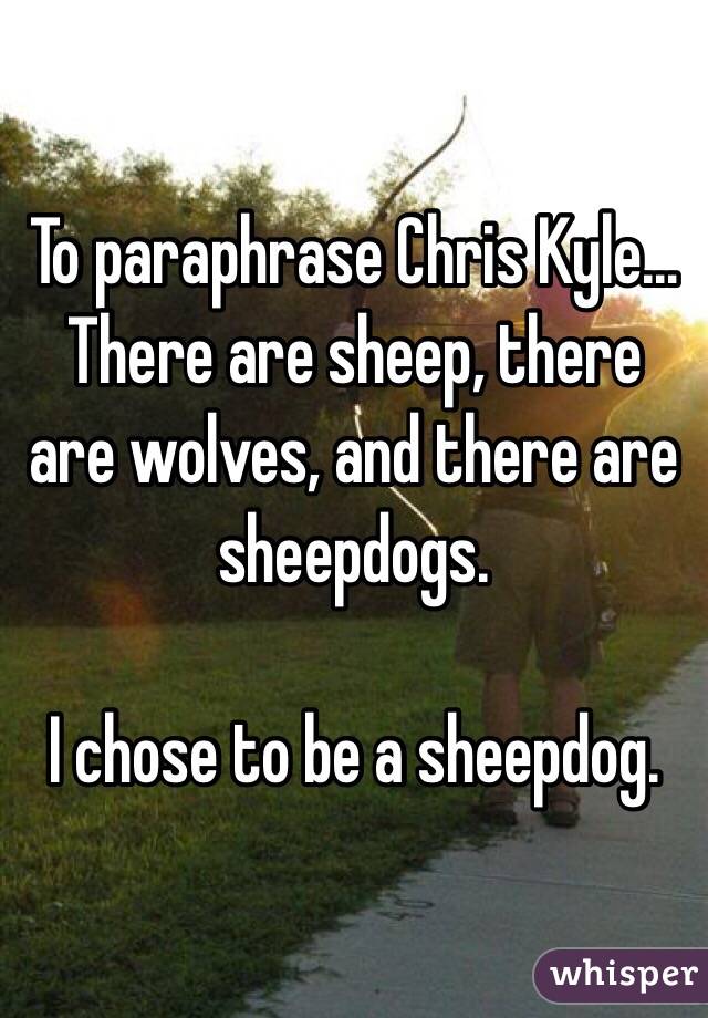 be a sheepdog