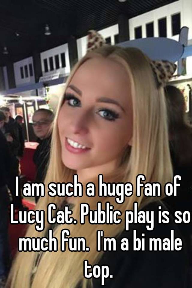 Lucy cat public