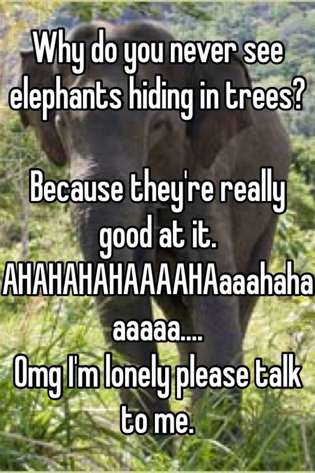 Trees you why see do never in elephants hiding 120+ Anti