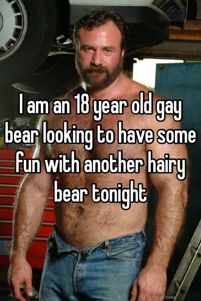 gay bear stories