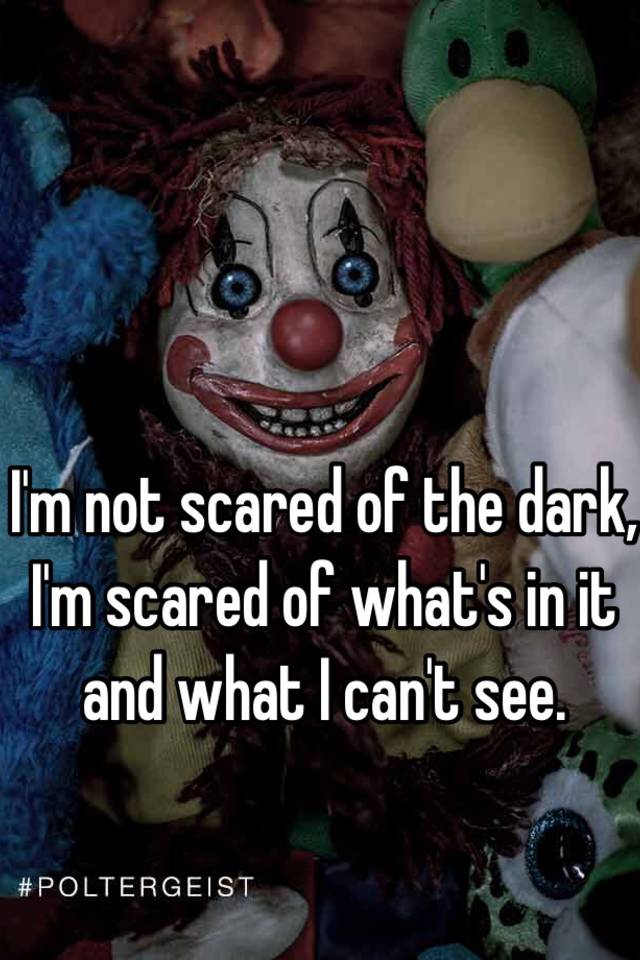 i-m-not-scared-of-the-dark-i-m-scared-of-what-s-in-it-and-what-i-can-t