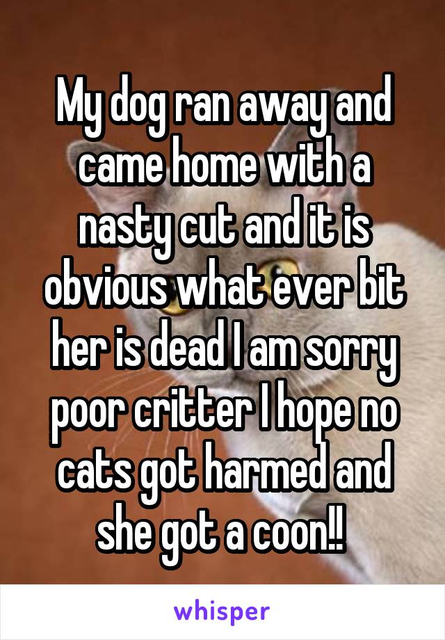 My dog ran away and came home with a nasty cut and it is obvious what ever bit her is dead I am sorry poor critter I hope no cats got harmed and she got a coon!! 