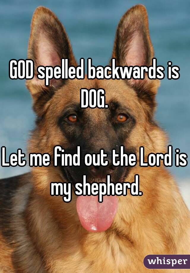 God Spelled Backwards Is Dog Let Me Find Out The Lord Is My Shepherd