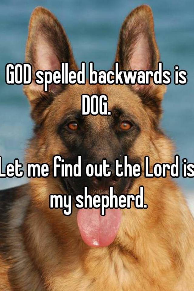 God Spelled Backwards Is Dog Let Me Find Out The Lord Is My Shepherd