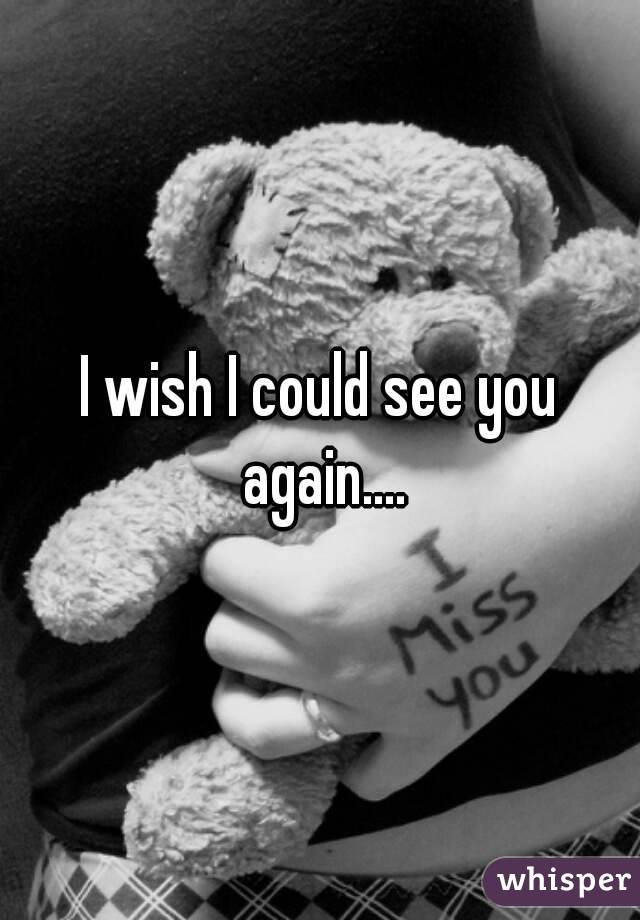 i wish i could see you again