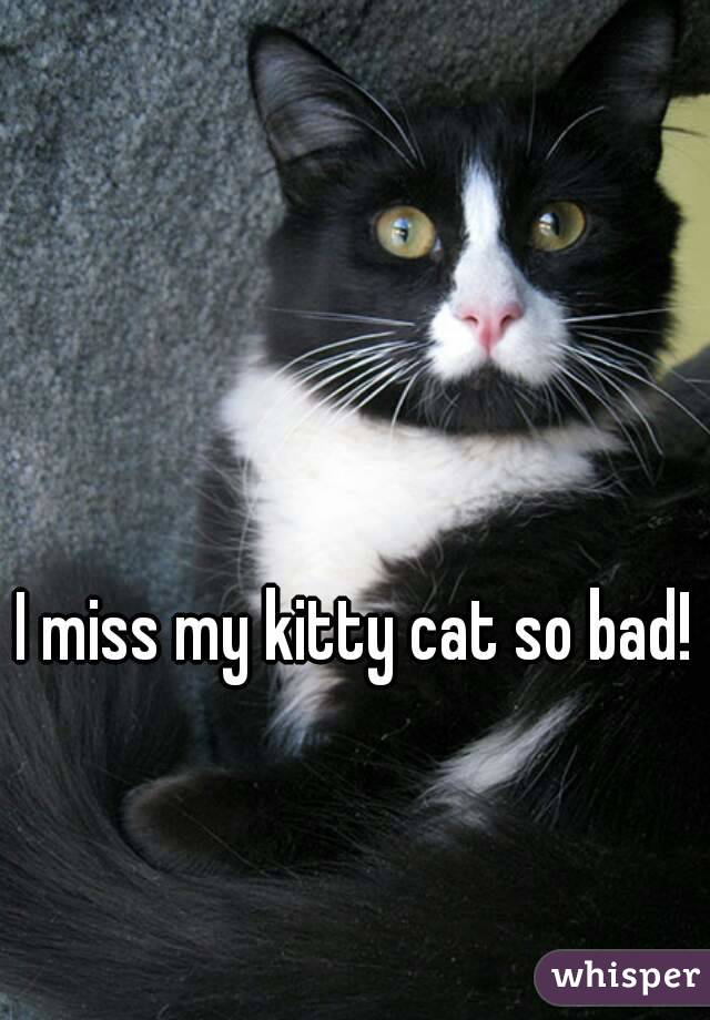 I miss my kitty cat so bad!