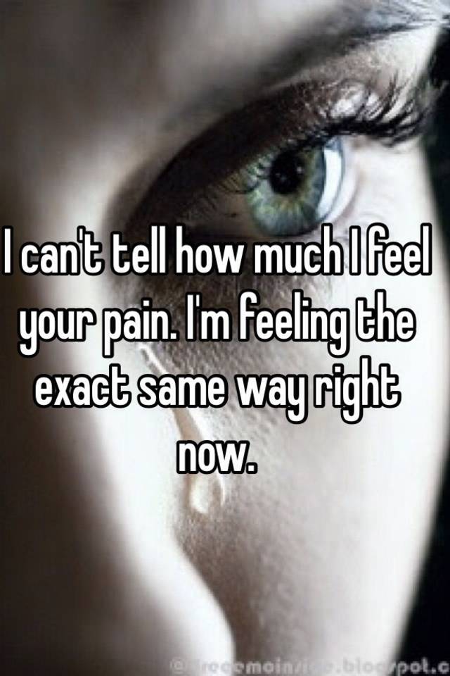 I Can T Tell How Much I Feel Your Pain I M Feeling The Exact Same