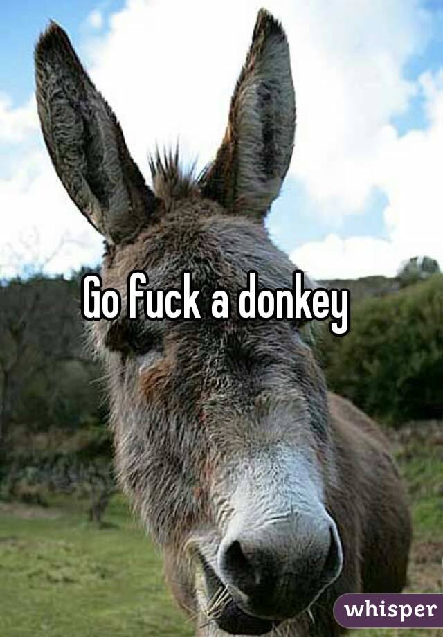 Fuck donkey