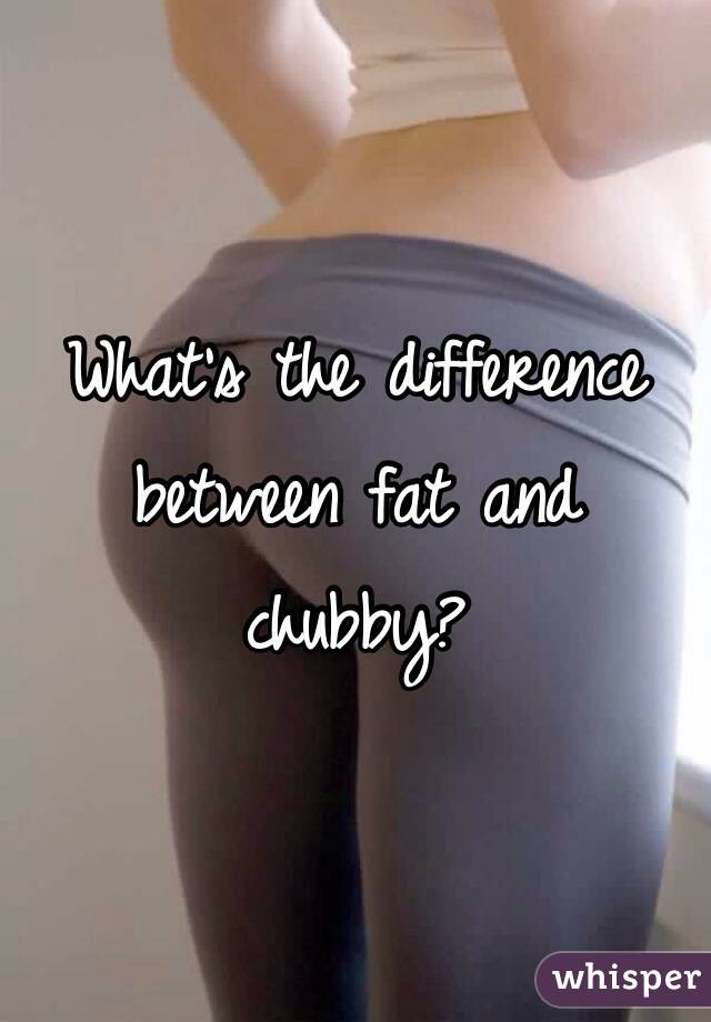 What's the difference between fat and chubby?