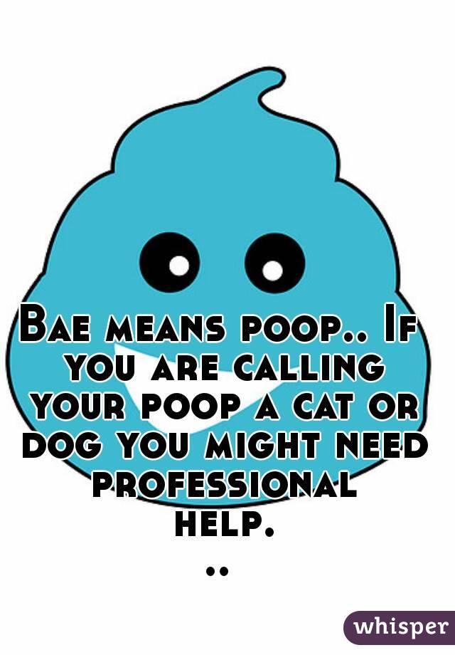 Bae means poop.. If you are calling your poop a cat or dog you might need professional help...