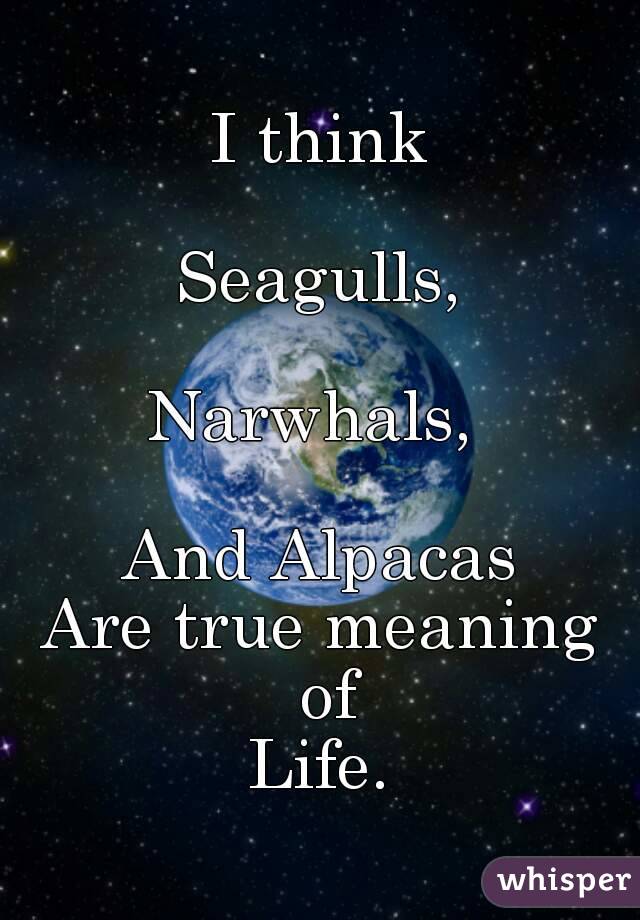 I think

Seagulls,

Narwhals, 

And Alpacas
Are true meaning of
Life.