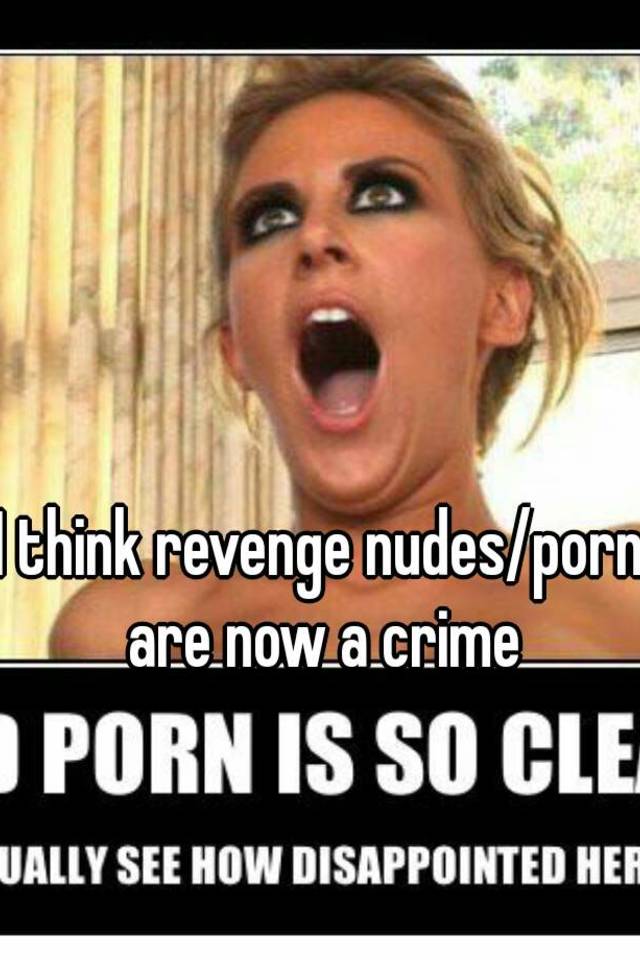 Revenge Porn Meme - I think revenge nudes/porn are now a crime