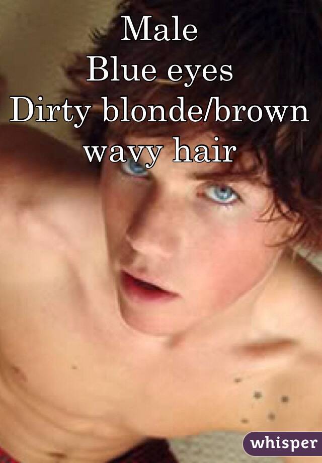 Male Blue Eyes Dirty Blonde Brown Wavy Hair