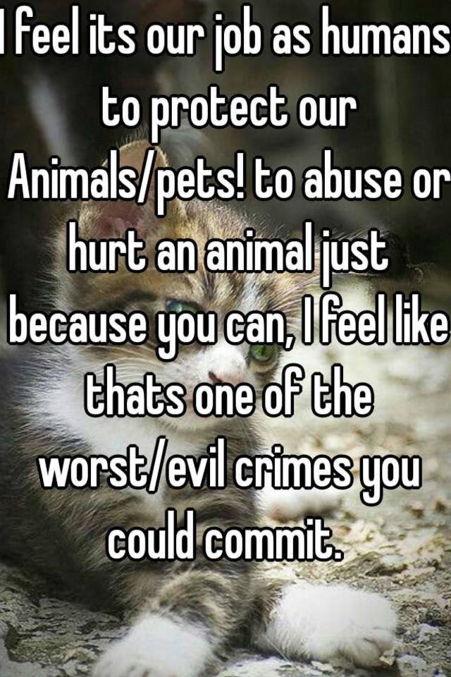Image result for protect our animals