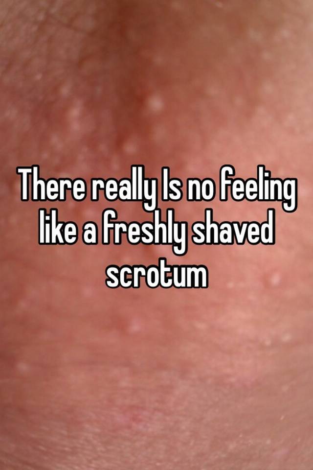 photo Shaved scrotum
