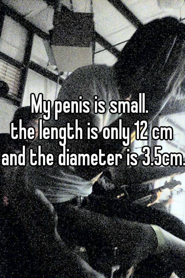 Cm penis 12 A Guy