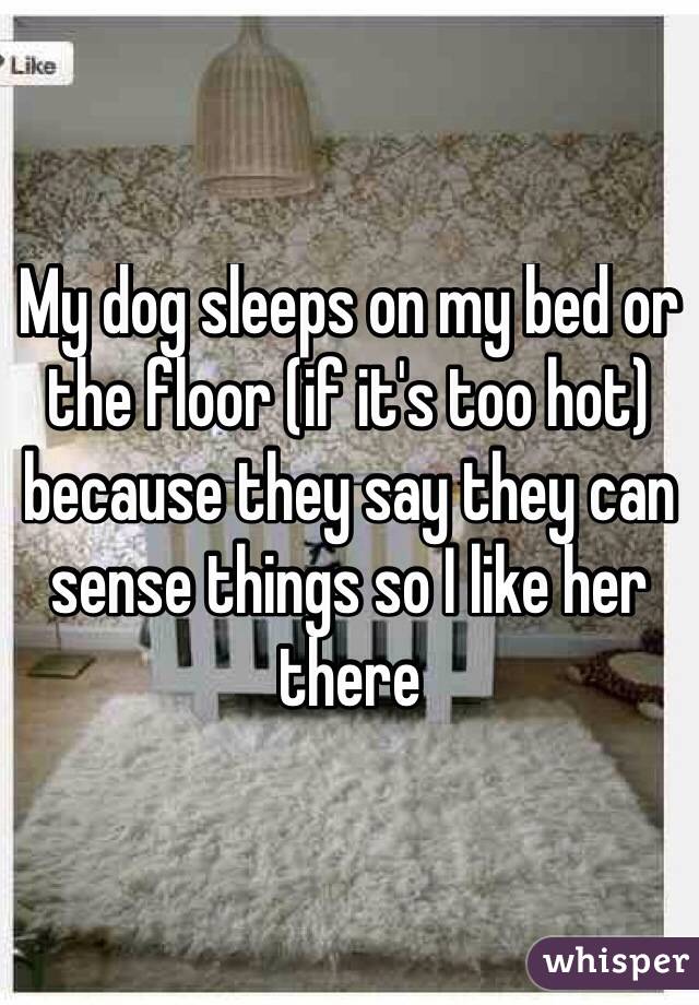 My dog sleeps on my bed or the floor (if it's too hot) because they say they can sense things so I like her there
