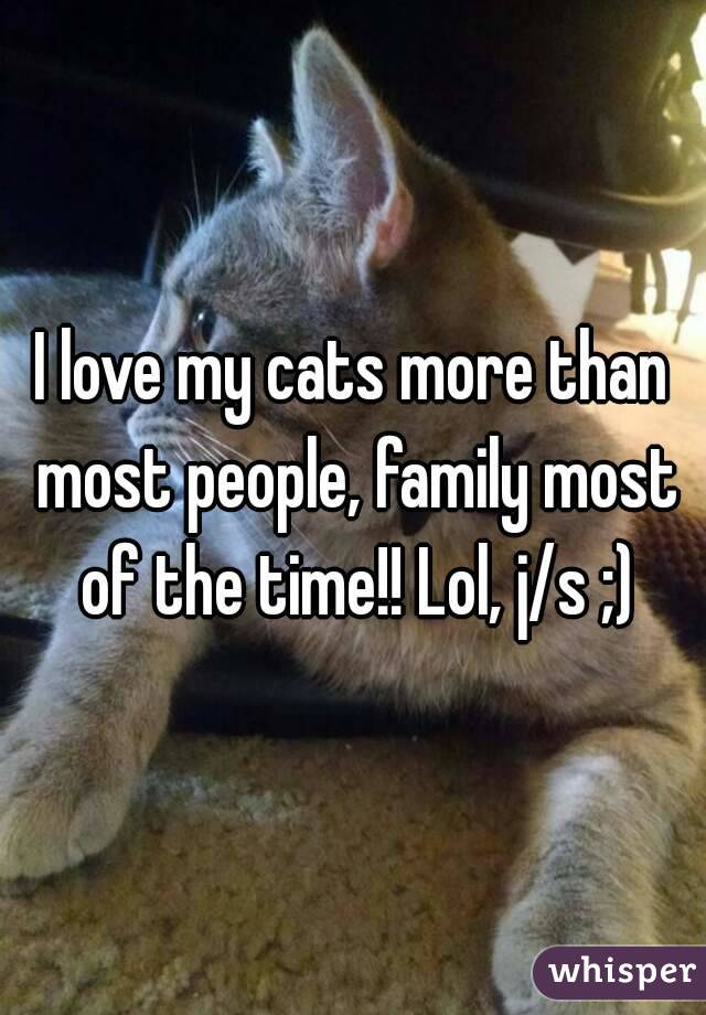 I love my cats more than most people, family most of the time!! Lol, j/s ;)