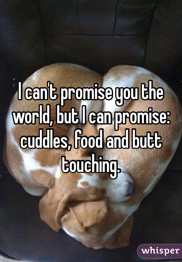 I can't promise you the world, but I can promise: cuddles, food and butt touching. 