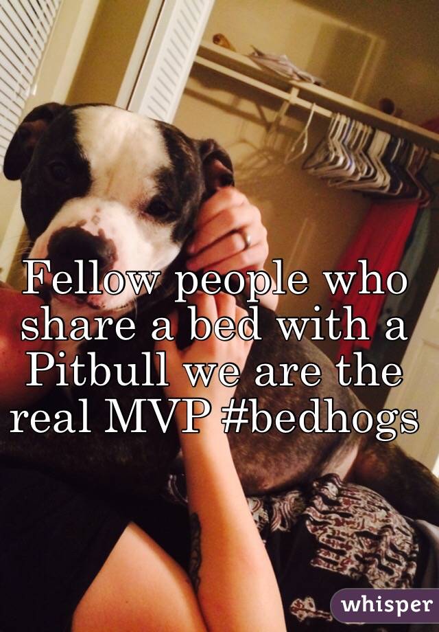Fellow people who share a bed with a Pitbull we are the real MVP #bedhogs
