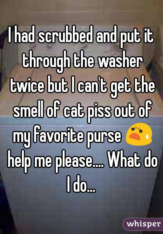 I had scrubbed and put it through the washer twice but I can't get the smell of cat piss out of my favorite purse 😧 help me please.... What do I do... 