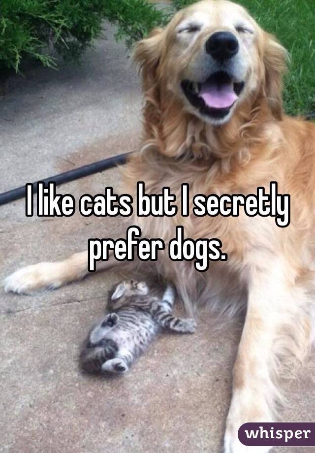 I like cats but I secretly prefer dogs. 