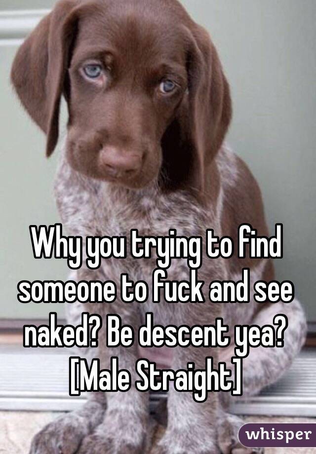 Why you trying to find someone to fuck and see naked? Be descent yea? [Male Straight]