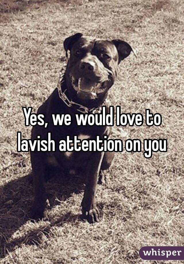 Yes, we would love to lavish attention on you