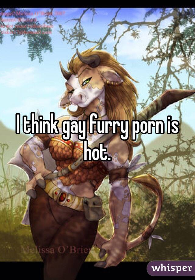 furry gay porn full videos