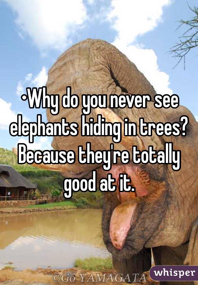 You elephants in do hiding trees never see why 213 Best