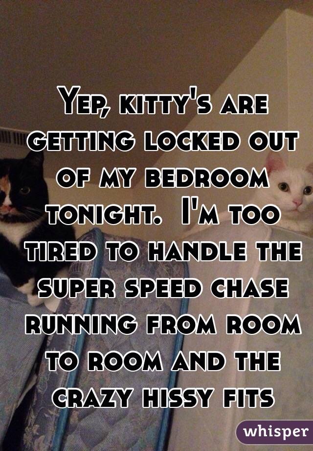 Yep Kitty S Are Getting Locked Out Of My Bedroom Tonight I