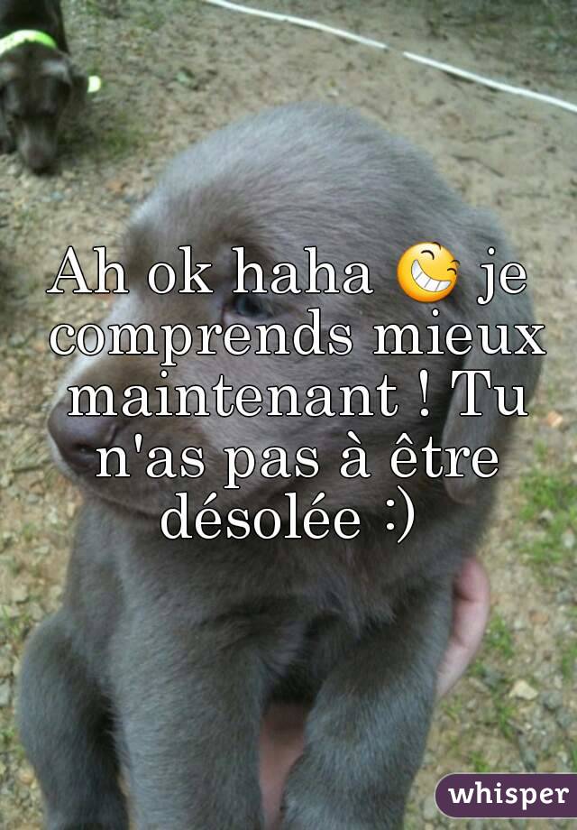 Ah Ok Haha Je Comprends Mieux Maintenant Tu N As Pas A Etre Desolee